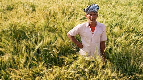 Magazine article aboutAssessing-crop-insurance-risk-in-India-remains-a-challenge 